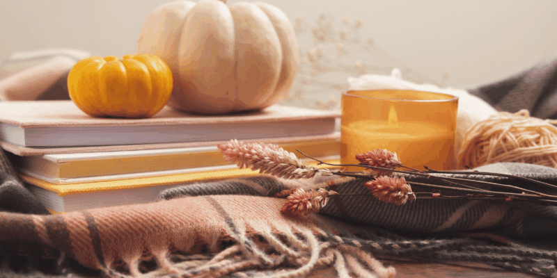 Bring cozy fall vibes into your home with these 5 easy decorating ideas! From simple pillow swaps to scented candles and mini pumpkins, this post is full of warm, affordable ways to style your space for the season. 🍂✨